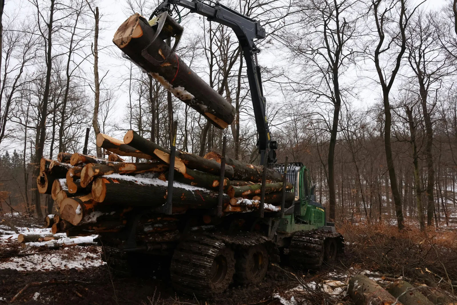 Metsaveomasin laadib kraanaga palke oma koormasse talvises metsas.